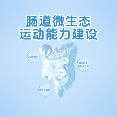 如何構(gòu)建“腸道微生態(tài)運(yùn)動(dòng)能力”？